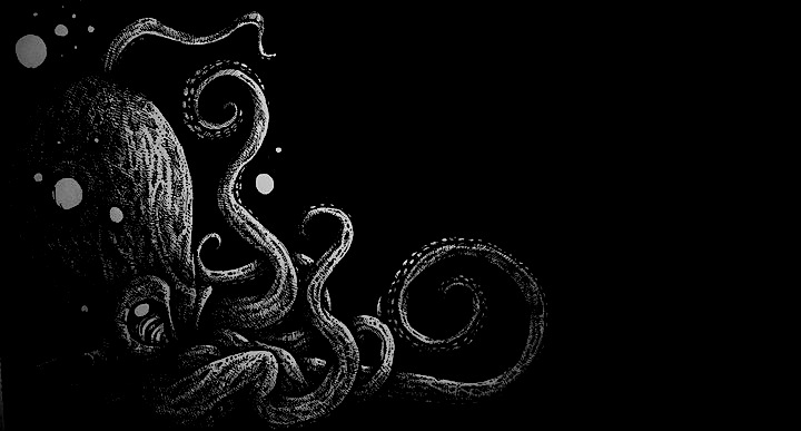 octopus in the dark