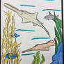 Saw Sharks- Coloring