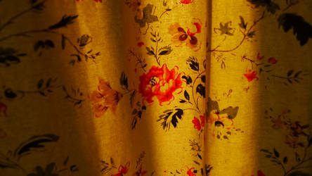 Curtain