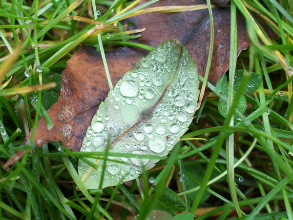 Crying After Fall by MegsStuff on DeviantArt