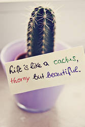 Life is like a cactus ...