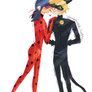 Ladynoir