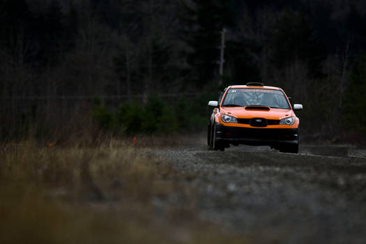 DirtFish V