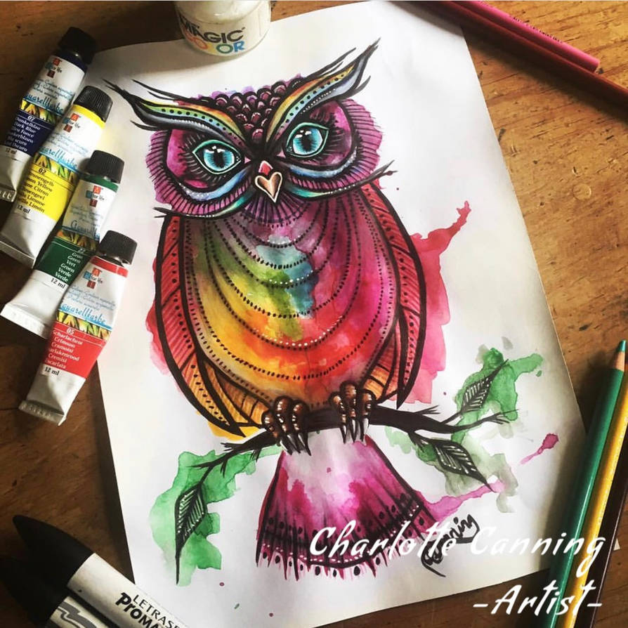 Washed Owl Watercolour Owl by ccanning on DeviantArt