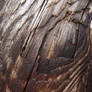 Texture - Wood - 0061
