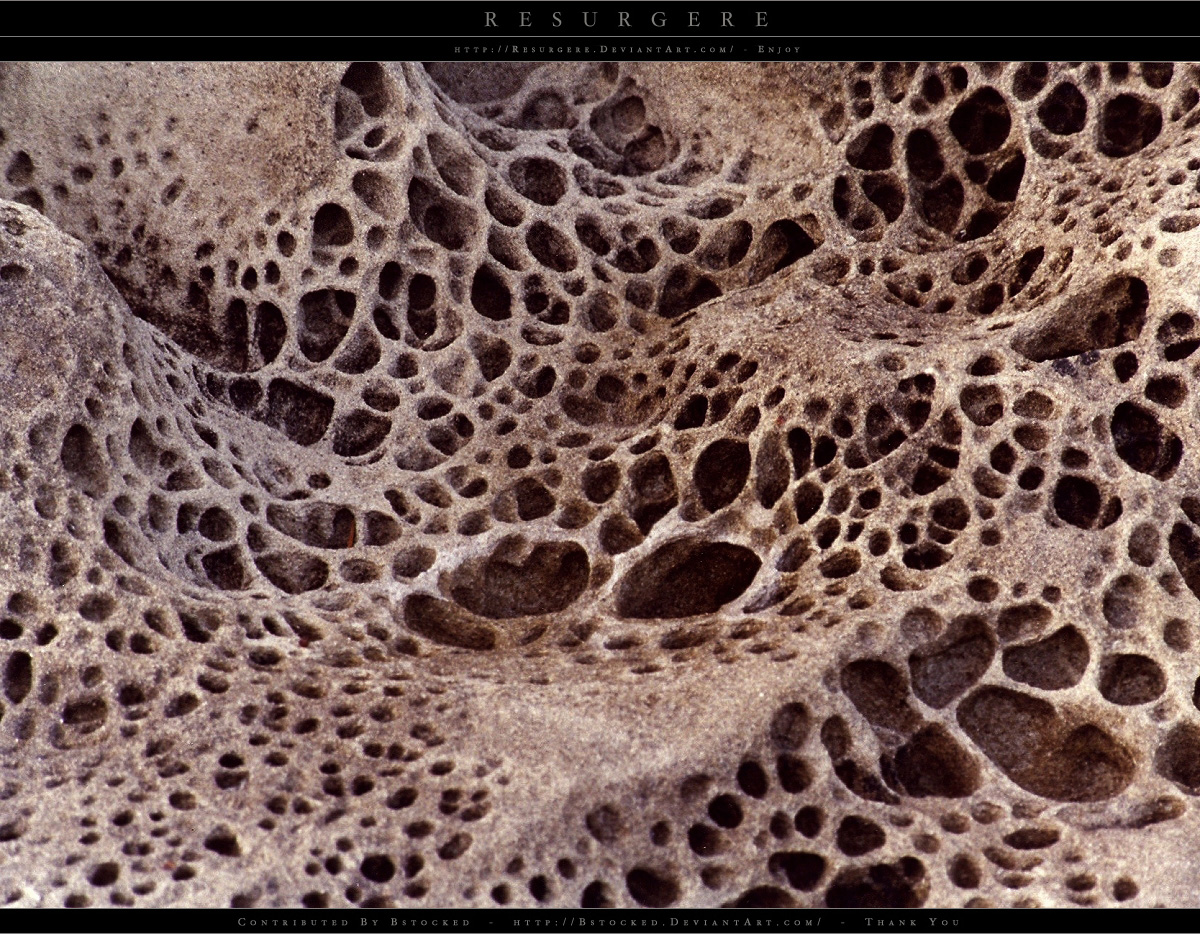 Texture - Earth - 1006
