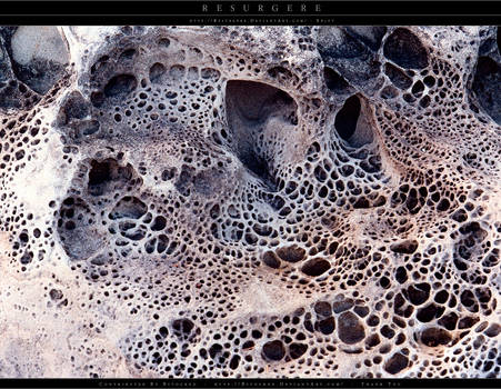 Texture - Earth - 1004 by resurgere