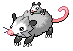 Opossum Revamp