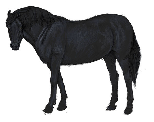 Accretion of Affection(unactive)