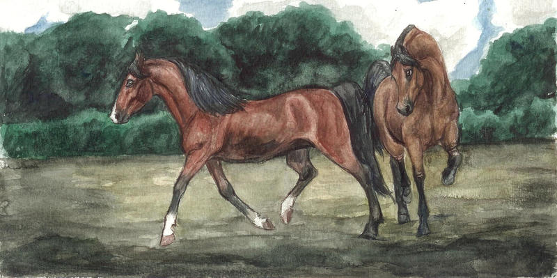 Breedingpic
