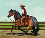 The boys go western by Crockori