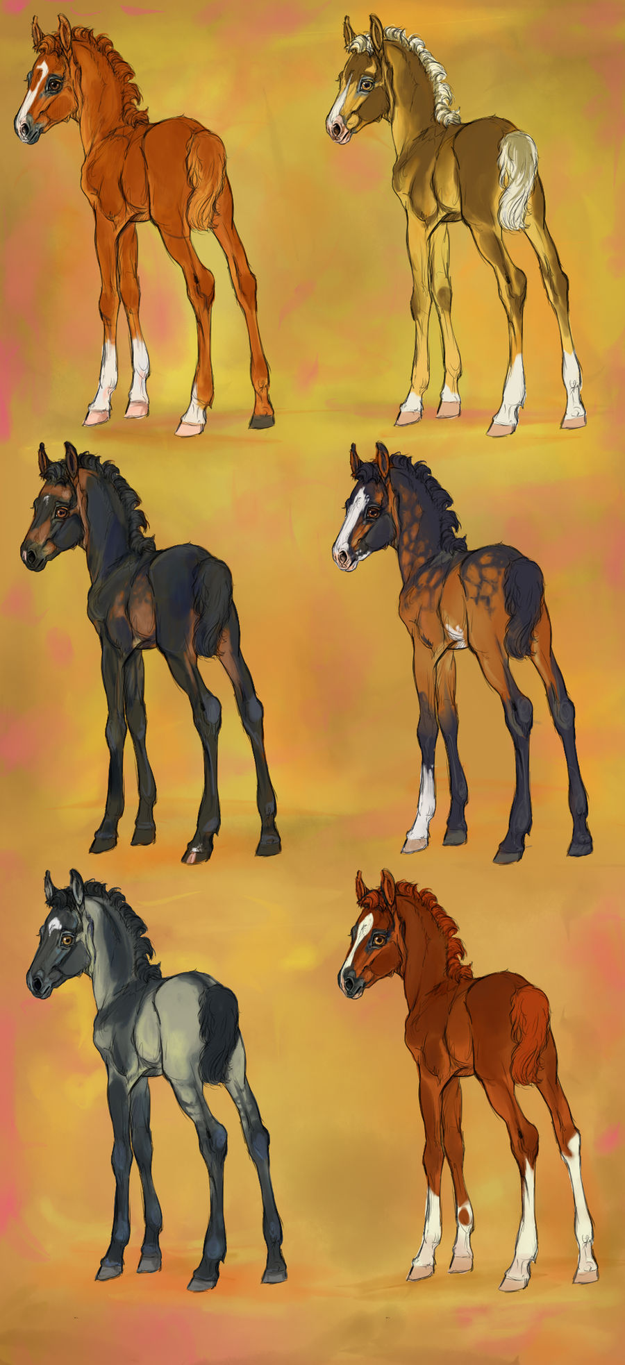 Bloodline morgan foals - Batch #1
