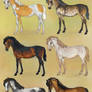 Bloodline morgan yearlings - Batch #2