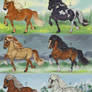 Icelandic horse Adoptables CLOSED