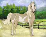 Atlantic - morgan stallion import #11 by Crockori