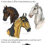 Horse breed meme