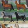 Morgan adoptables CLOSED