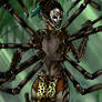 Anasai warrior