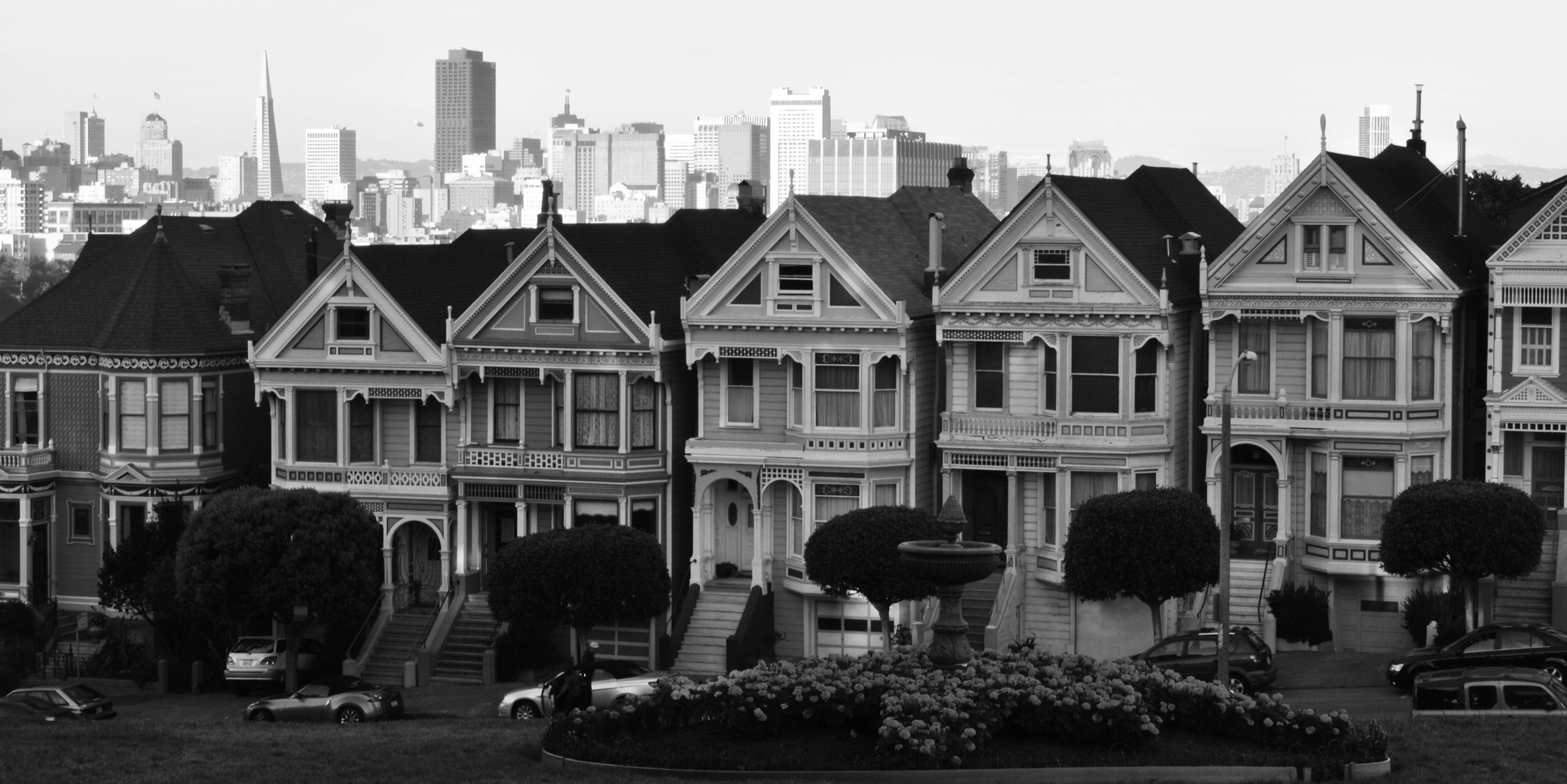 Painted ladies B and W