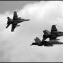 Hornet Formation