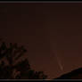 Comet McNaught