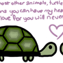 turtles