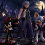 Riku With Shadow and Rouge