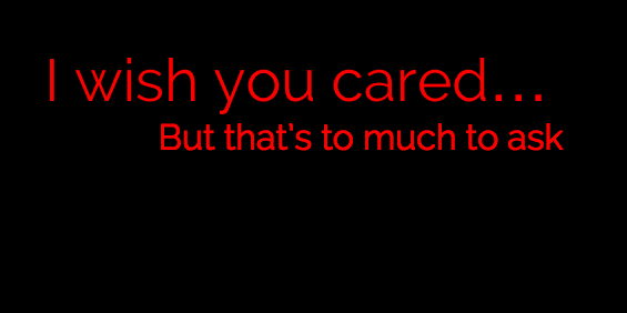 I Wish You Cared... But That's to Much to Ask