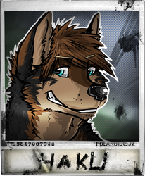 Haku Badge and Icon