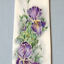 tie with irises