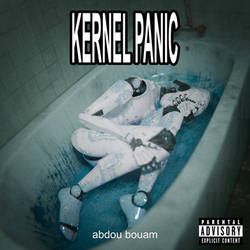 Kernel Panic