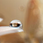 captured by photofairy