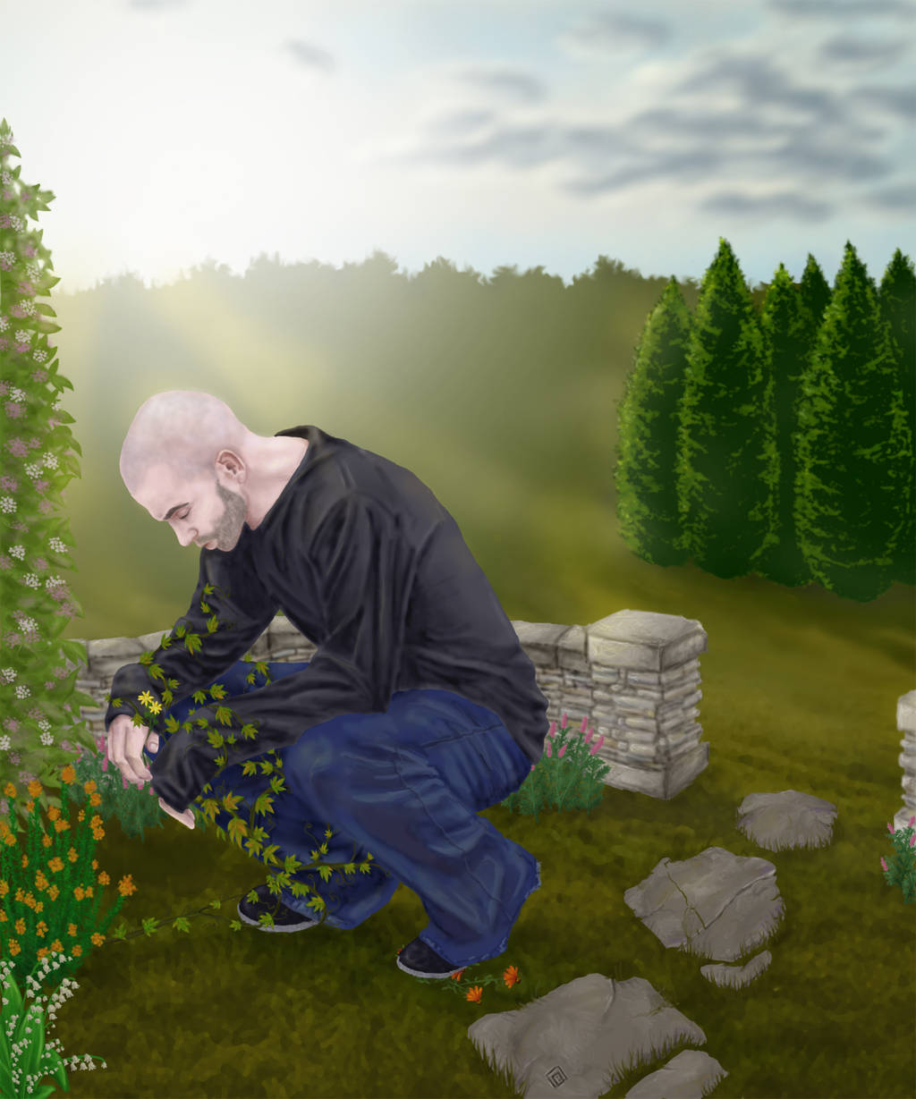 morning in my garden by soma