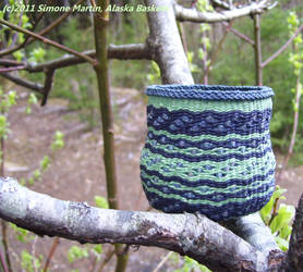 Alaska Cosmic Garden Basket