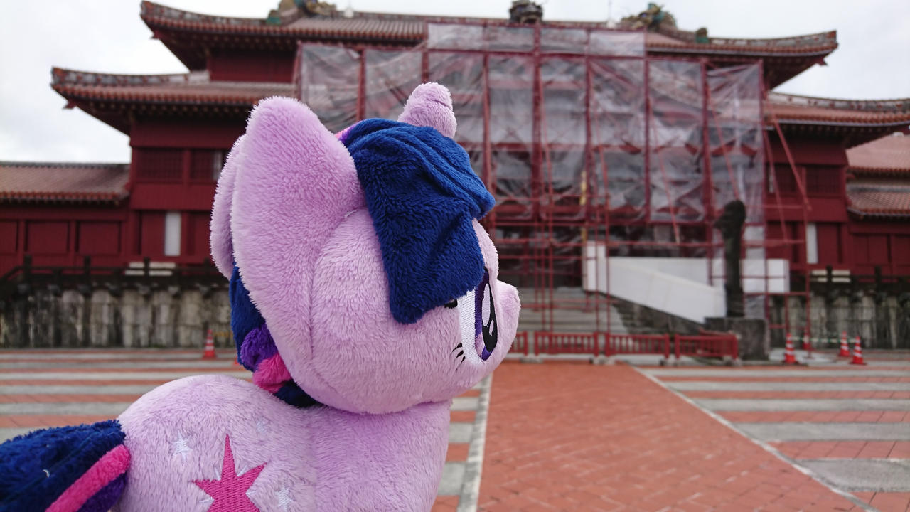 Ponies around the world 2017 picture 1