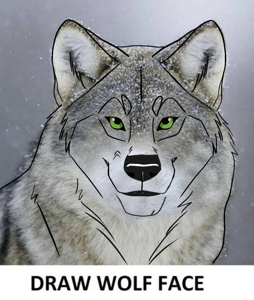 Draw Wolf Face (Meme) by autoking on DeviantArt