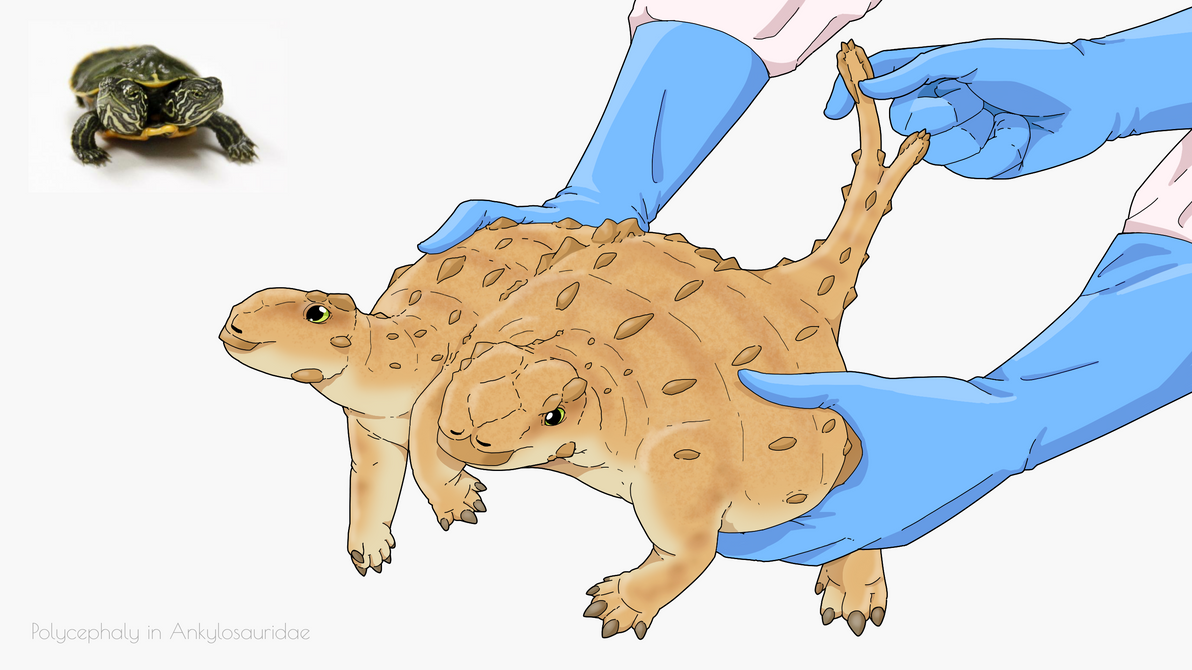 Polycephalic Python Polycephalic Ankylosaurus by yoofilos on DeviantArt