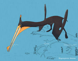 Moganopterus Explore the Best Moganopterus Art | DeviantArt