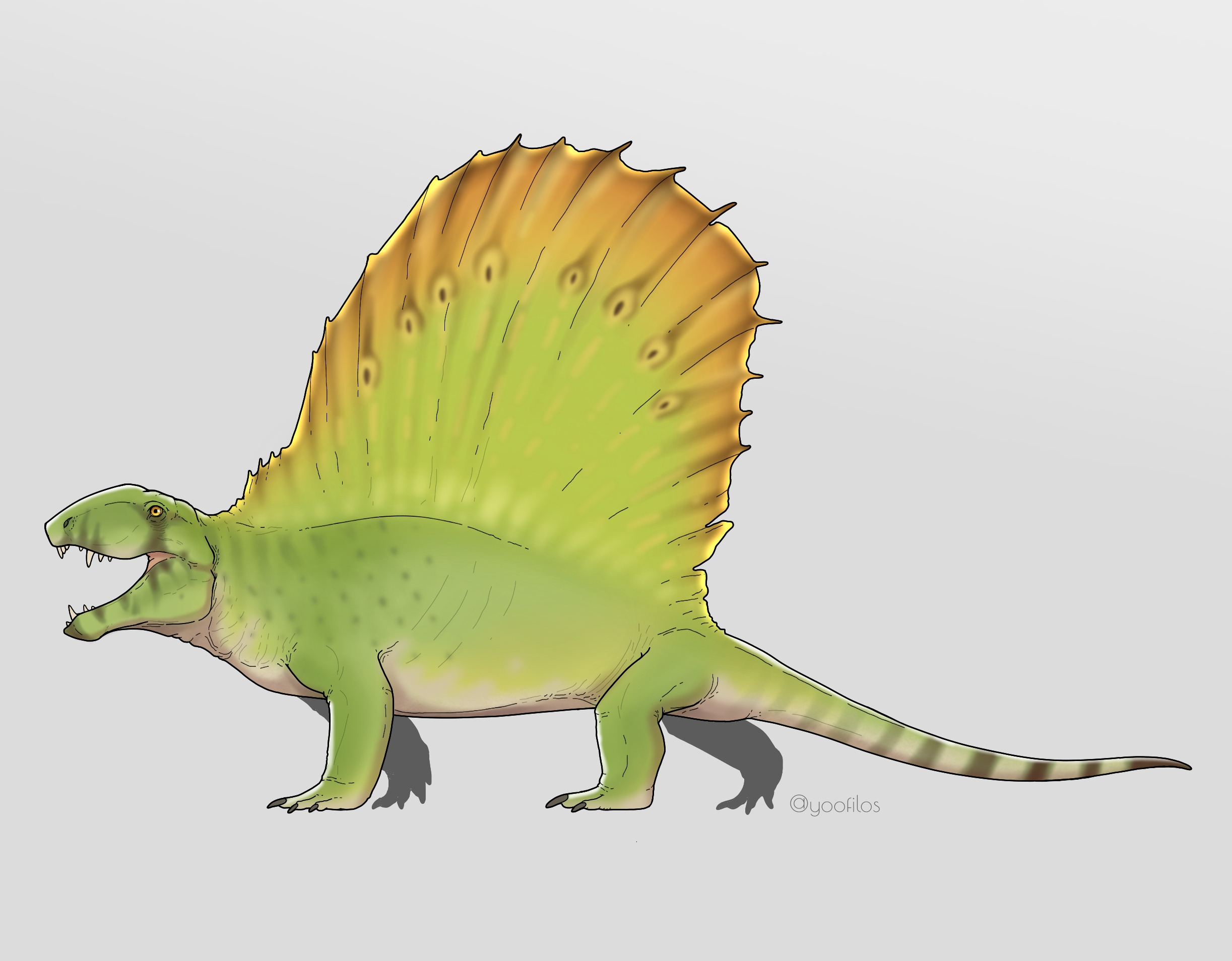 Dimetrodon by yoofilos on DeviantArt