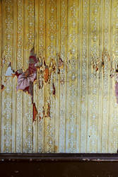 damaged wallpaper stock