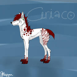 Ciriaco