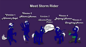 Meet Storm Rider