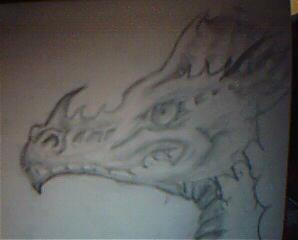 Sketched out Dragon