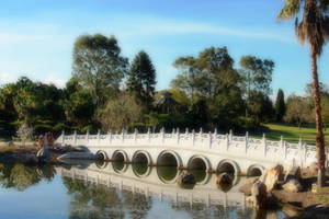 Bridge over Still Waters