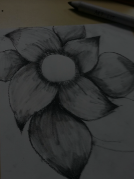 Flower drawing I Made With Charcoal Pencil