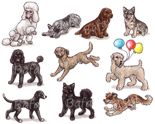 S - Dog Breeds -page 5-