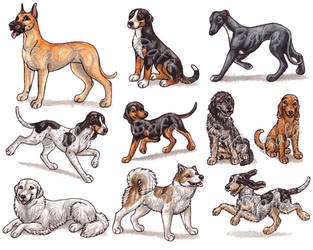 G - Dog Breeds -page 3-