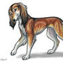 Serene Sighthound