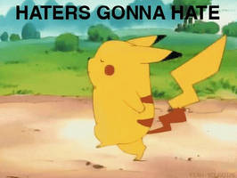 Haters Gonna Hate