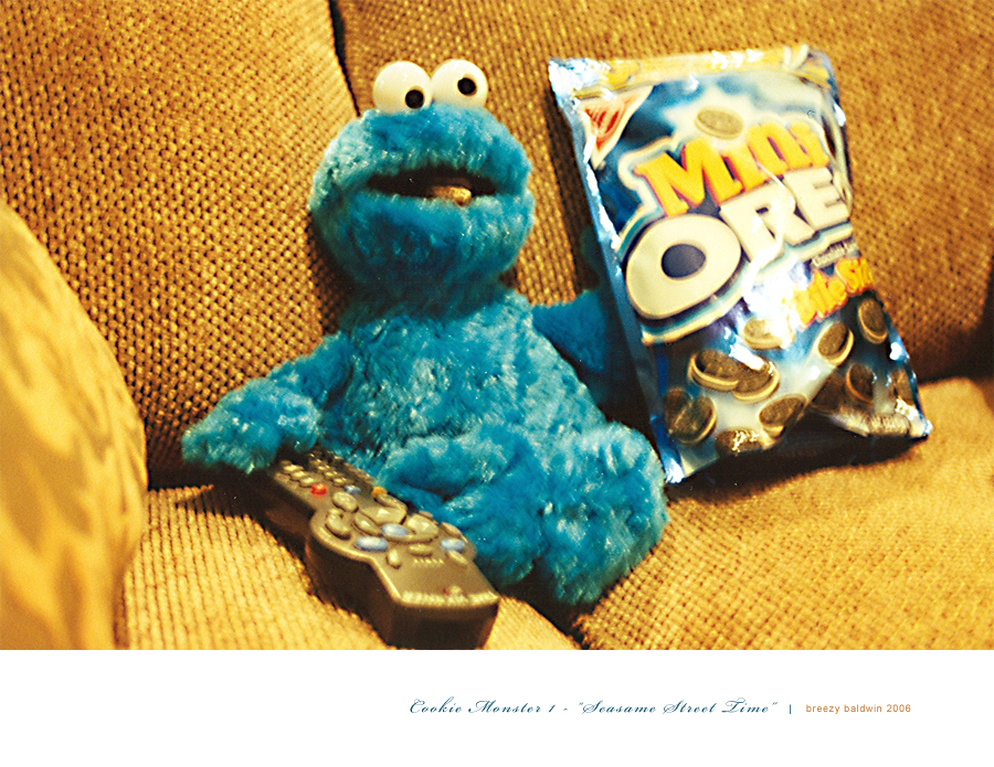 Cookie Monster I